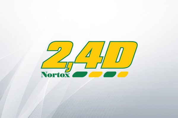 2,4 D
