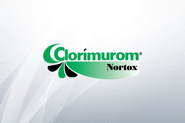 Clorimurom