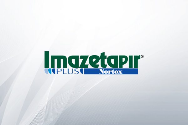 Imazetapir